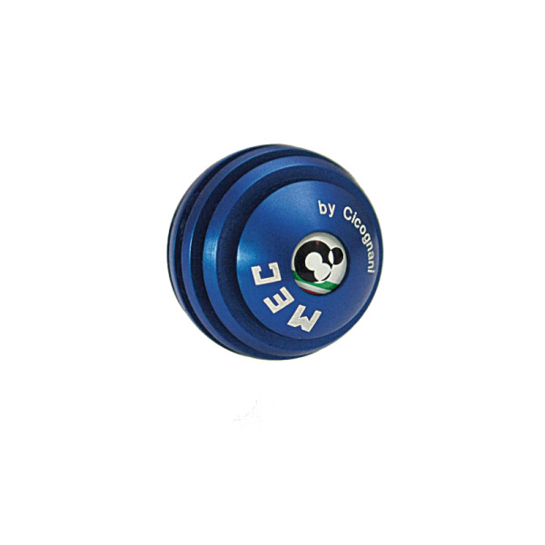 MEC Globe